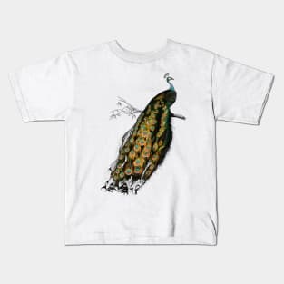 Vintage indian peafowl bird-animalia clothing Kids T-Shirt